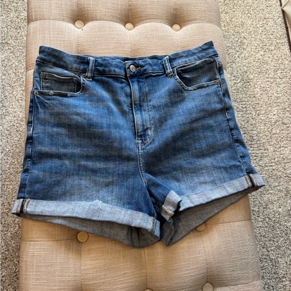 Next Level Stretch by AE / Curvy High Rise Shortie